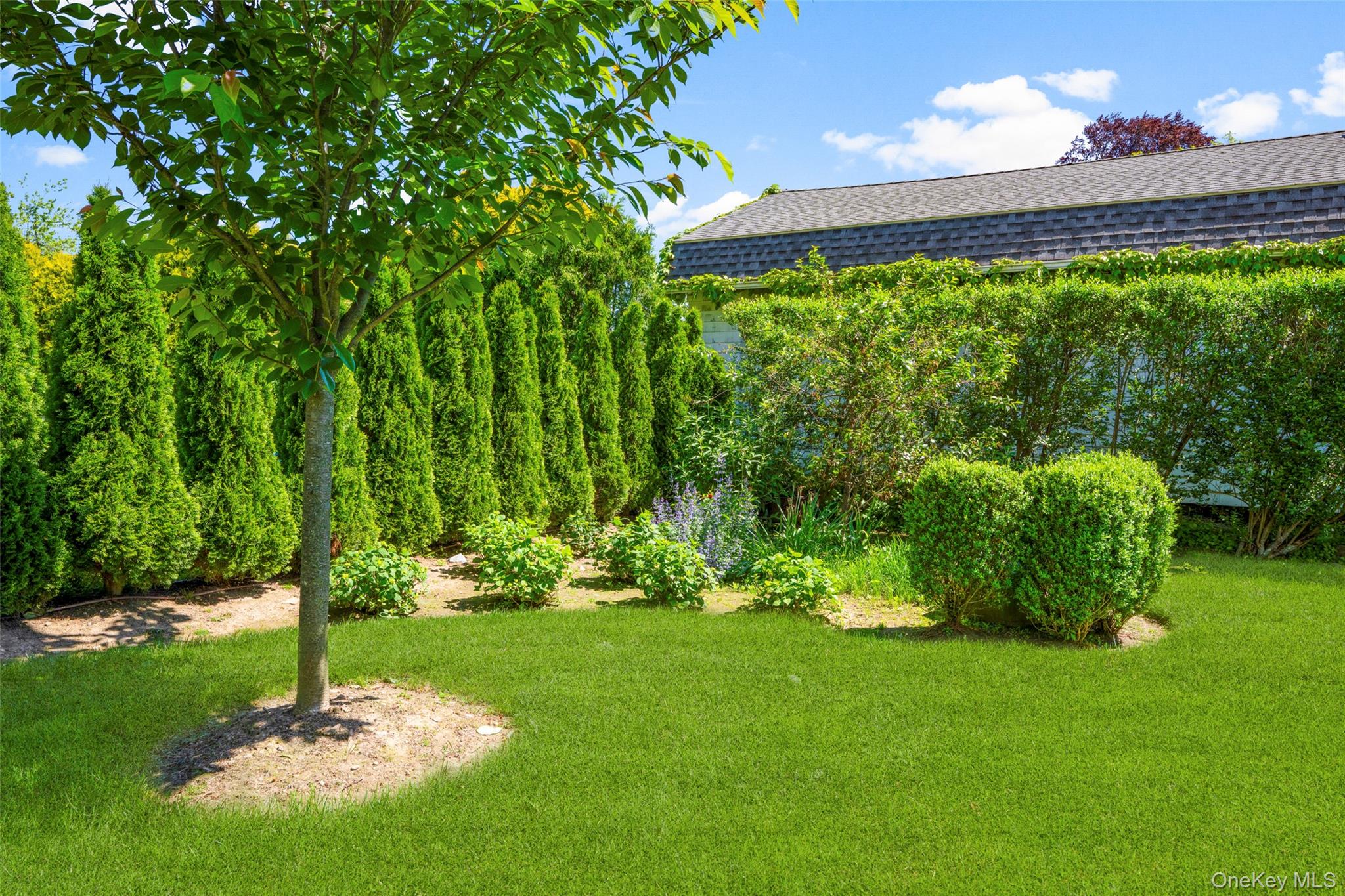 6 Linden Avenue Property Photo 35