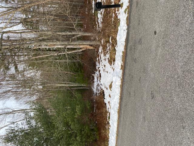 Lot 114 Old Congress Road Property Photo 1