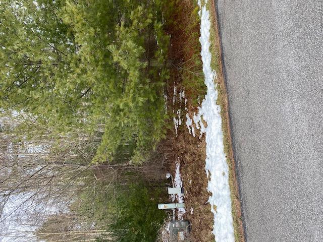 Lot 114 Old Congress Road Property Photo 3