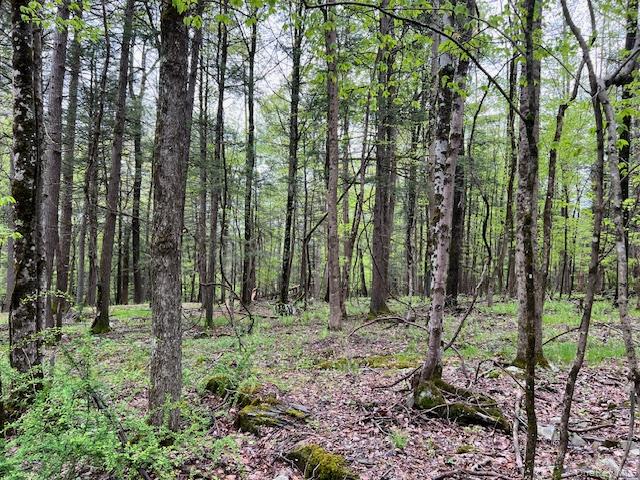 801 Oakwood Circle Property Photo 4