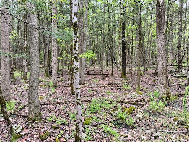 801 Oakwood Circle Property Photo 5