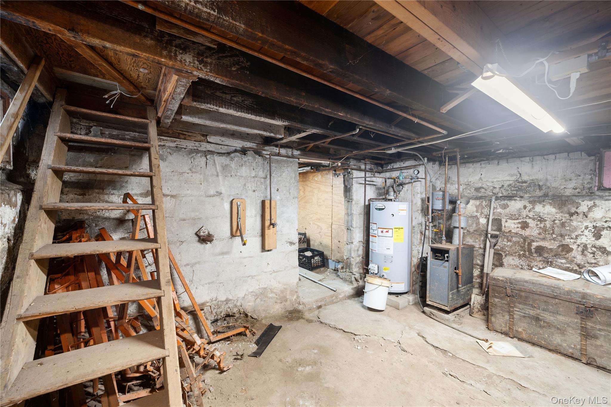 75-01 88th Street Property Photo 19