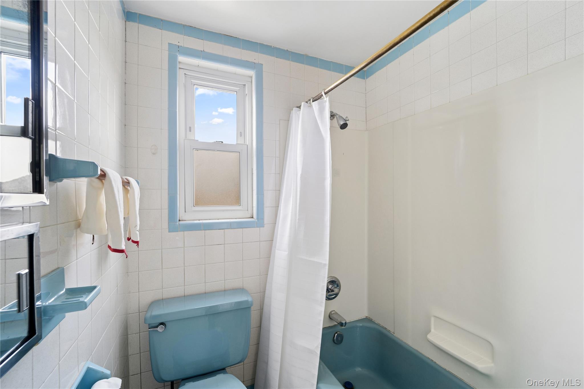 75-01 88th Street Property Photo 45