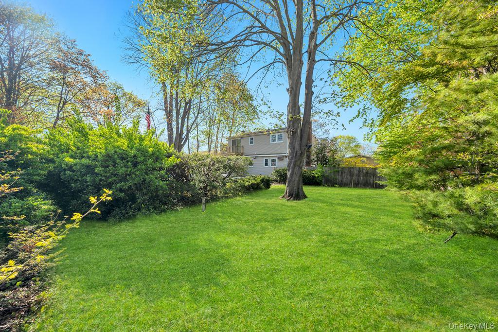 64 Spar Drive Property Photo 22