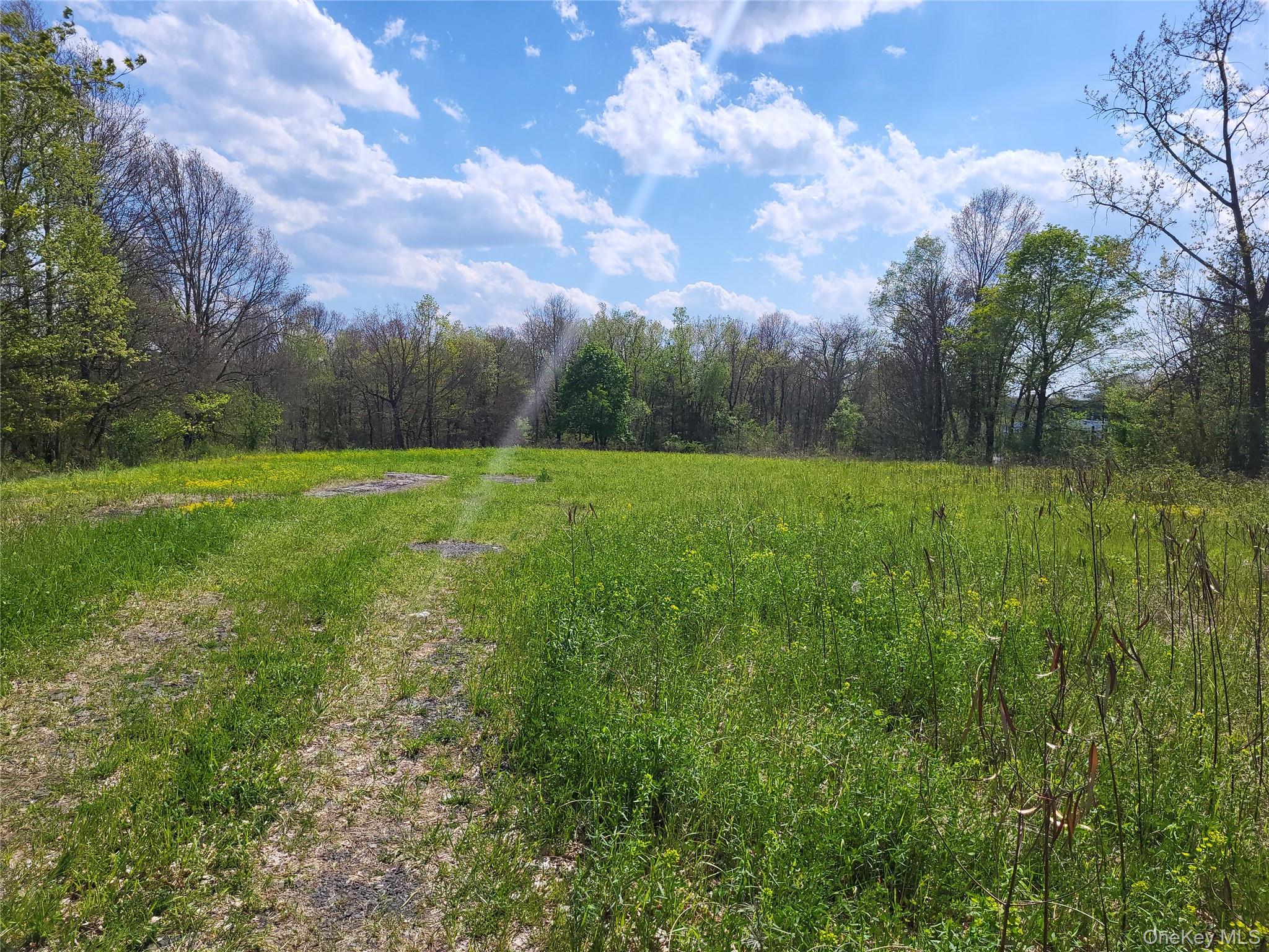 159 Bracken Road Property Photo 4