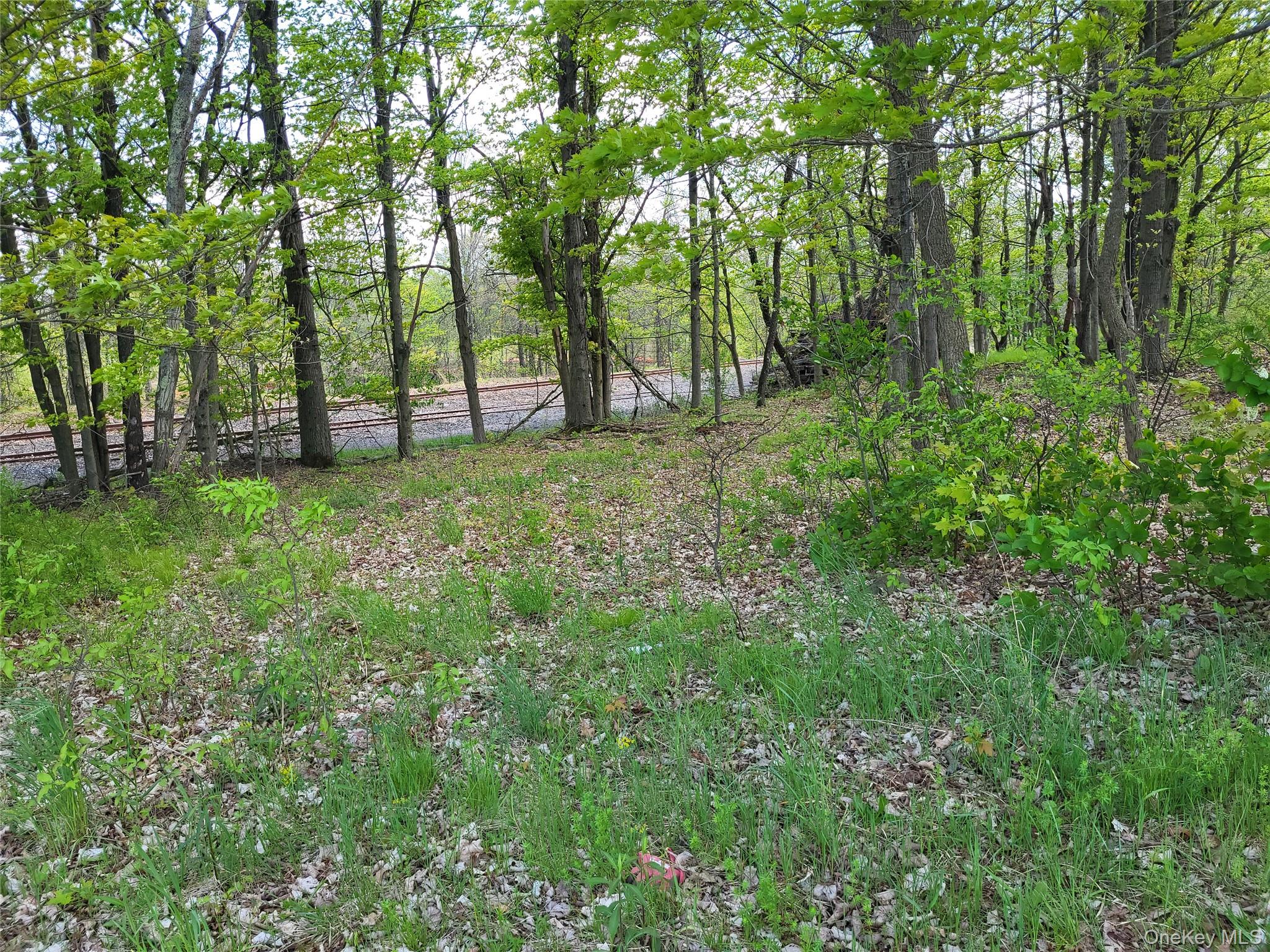 159 Bracken Road Property Photo 5
