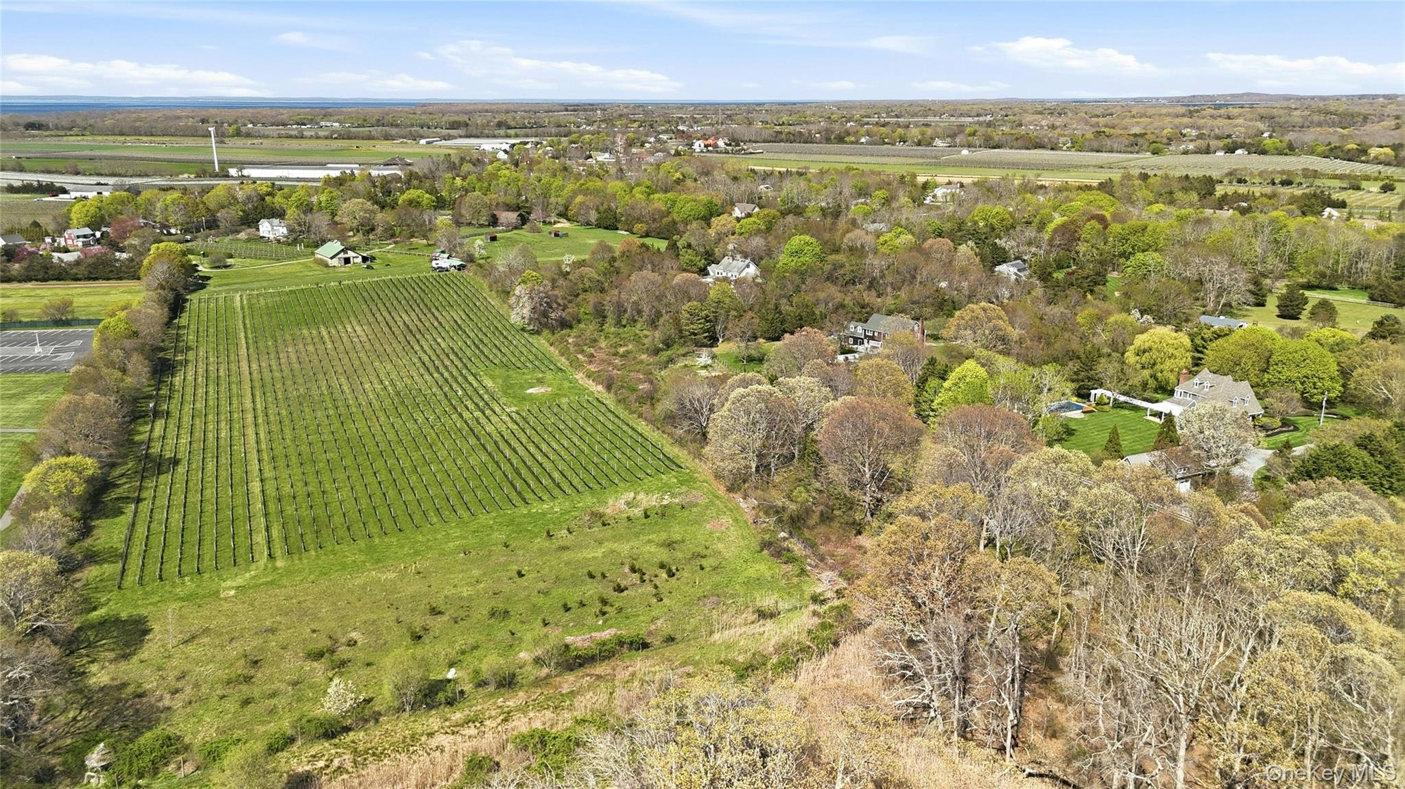 35950 Main Road Property Photo 18