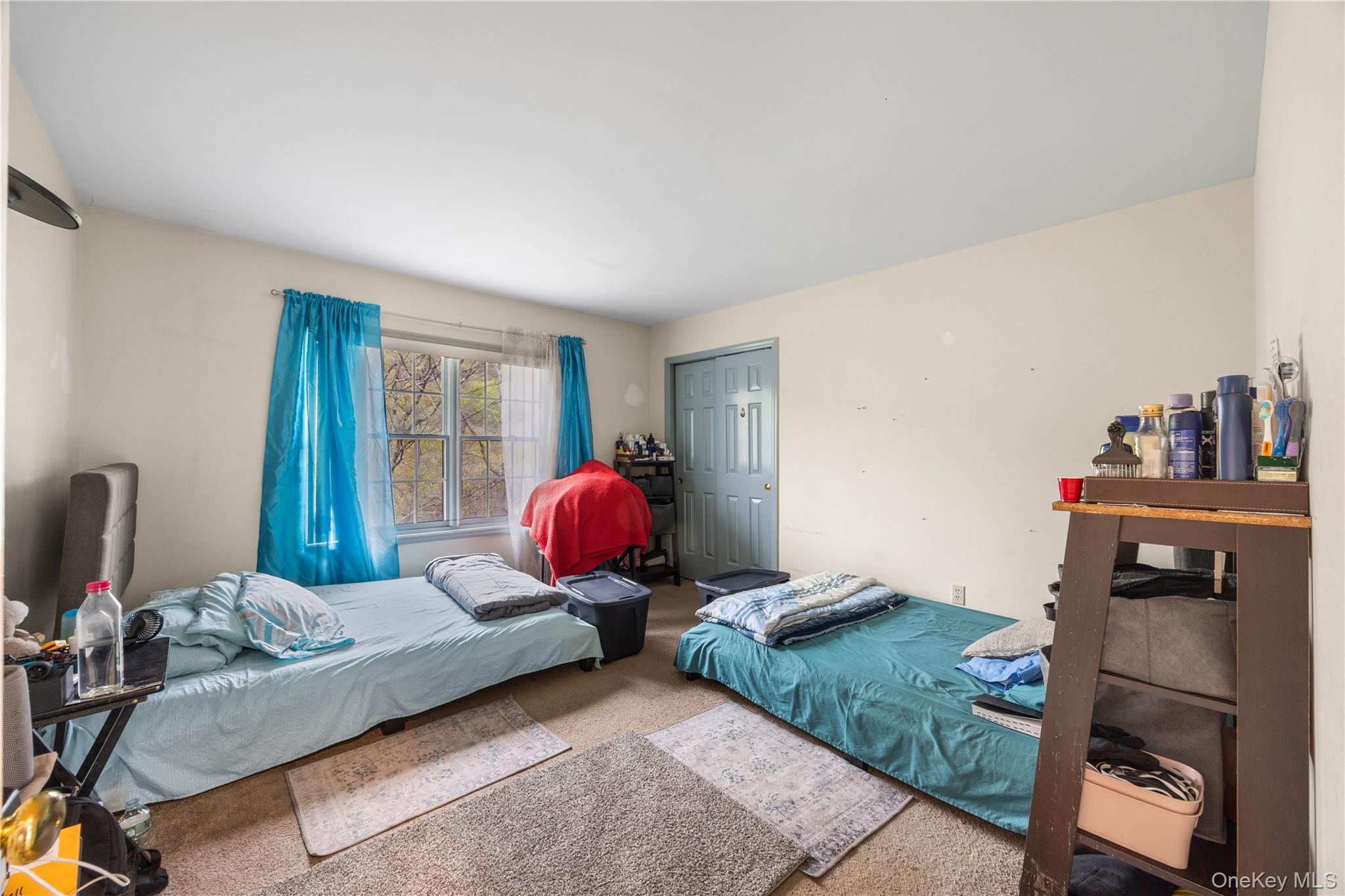 3 Miller Road Property Photo 25