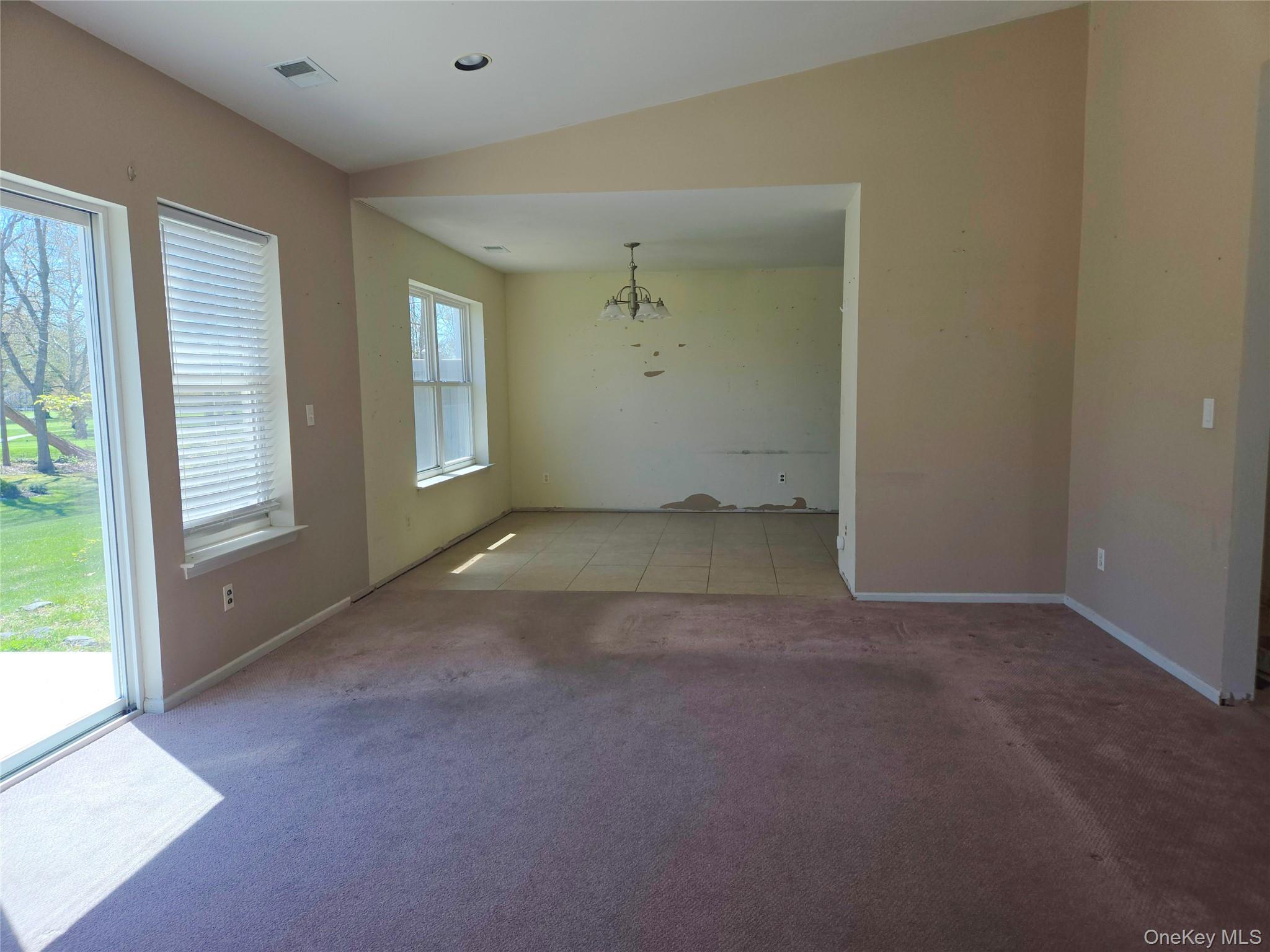 168 Hampton Vista Drive Property Photo 7