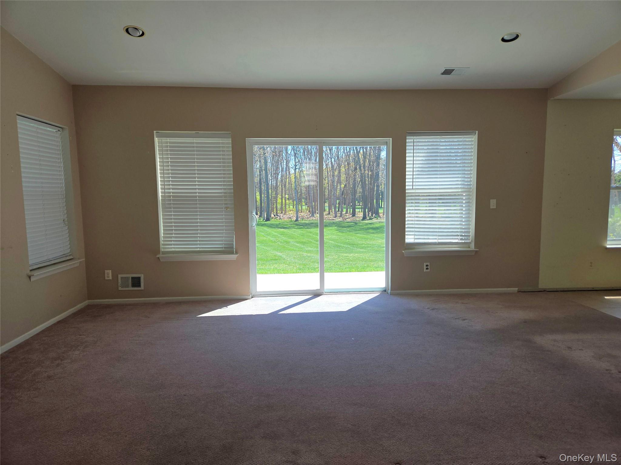 168 Hampton Vista Drive Property Photo 9
