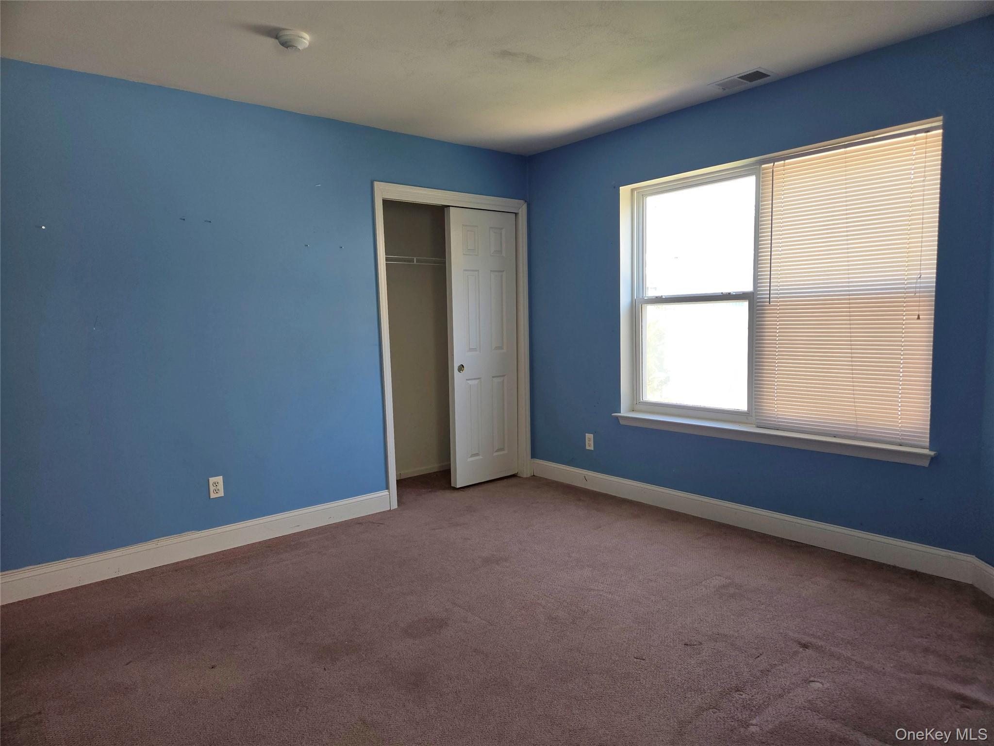 168 Hampton Vista Drive Property Photo 11