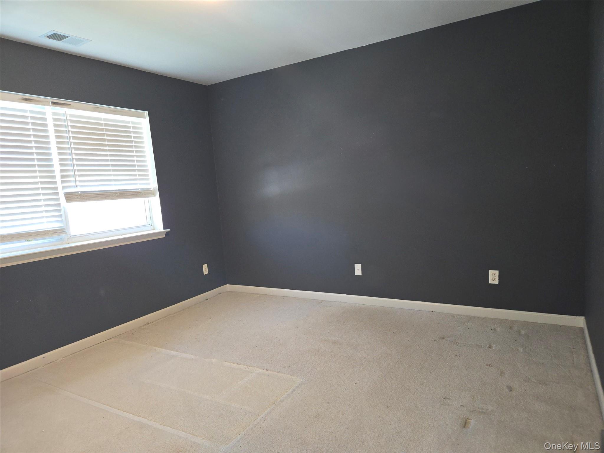 168 Hampton Vista Drive Property Photo 25