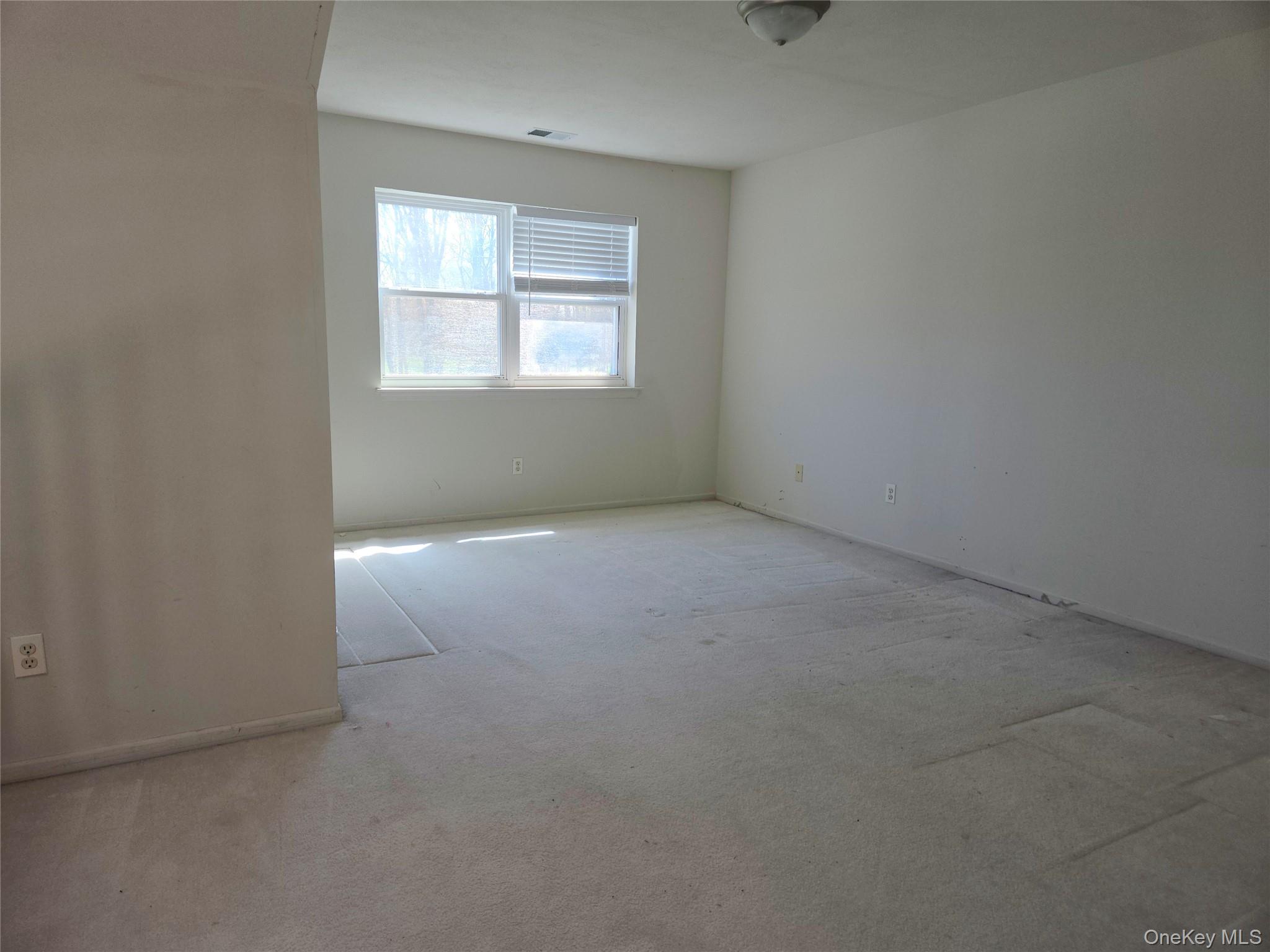 168 Hampton Vista Drive Property Photo 29
