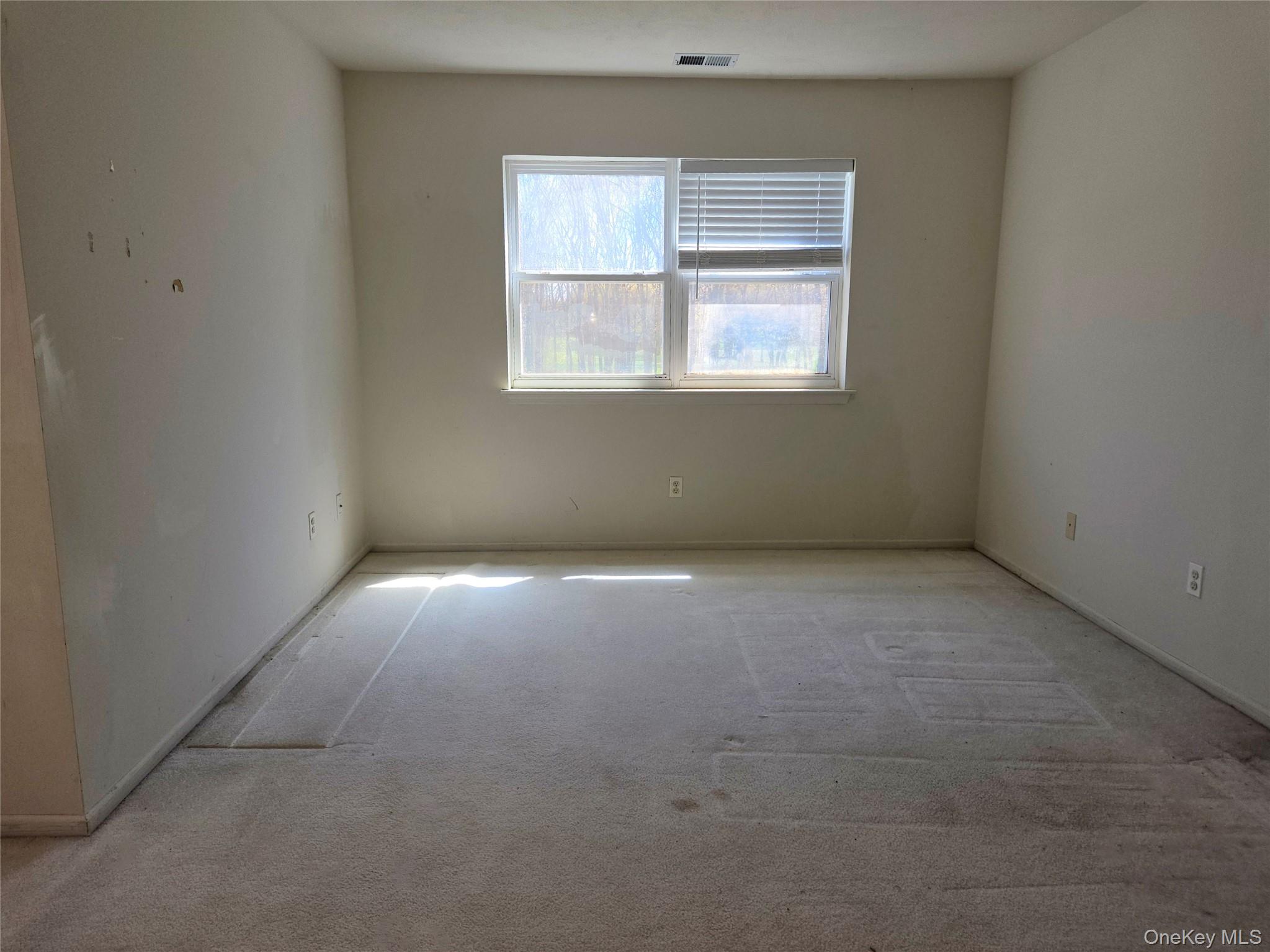 168 Hampton Vista Drive Property Photo 30