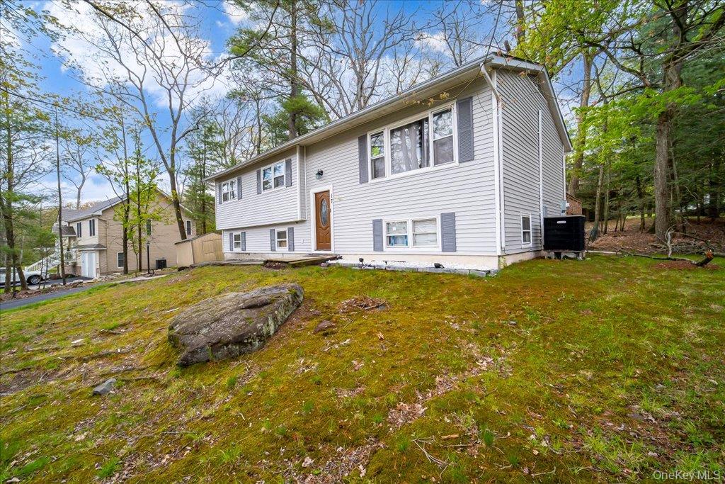 17 Chester Street Property Photo 3