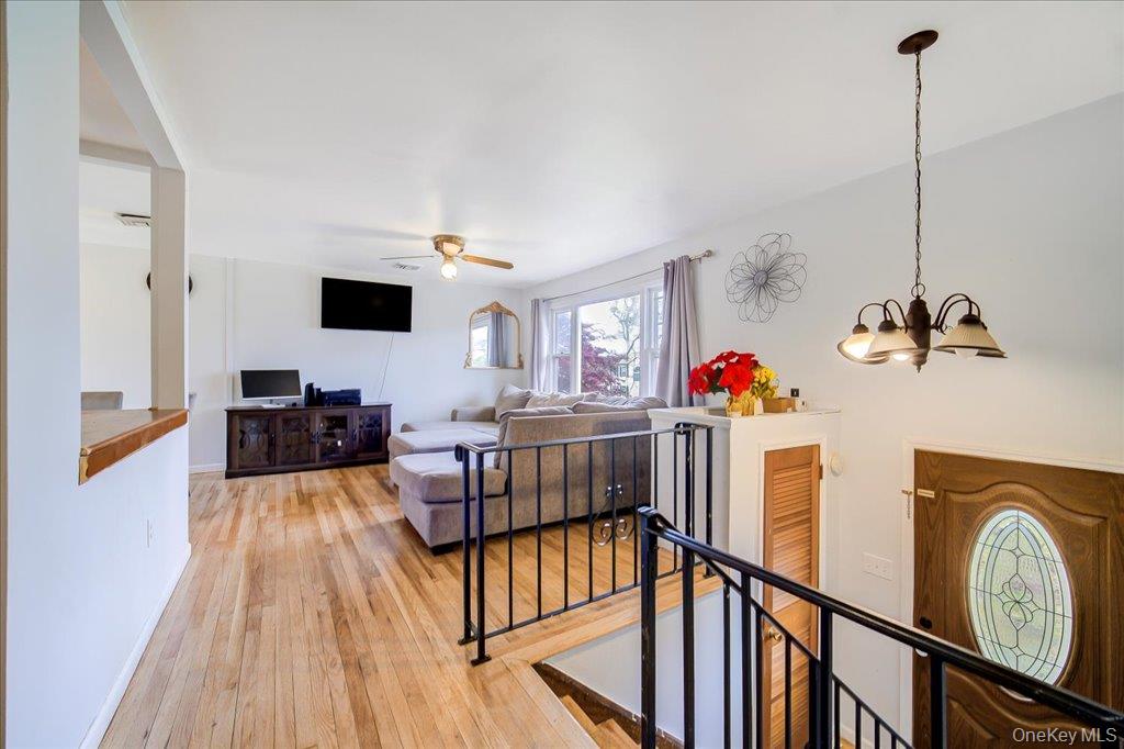 17 Chester Street Property Photo 4