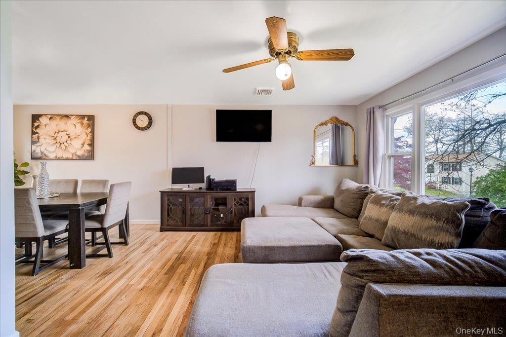 17 Chester Street Property Photo 6