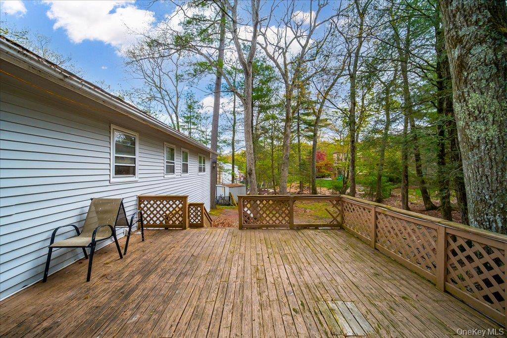 17 Chester Street Property Photo 29
