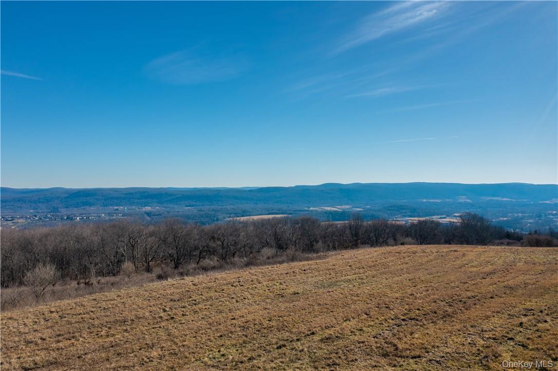 1297 Route 343 Property Photo 1