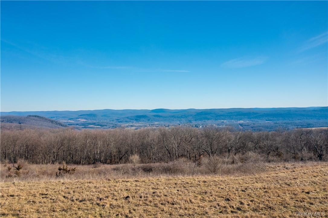 1297 Route 343 Property Photo 2