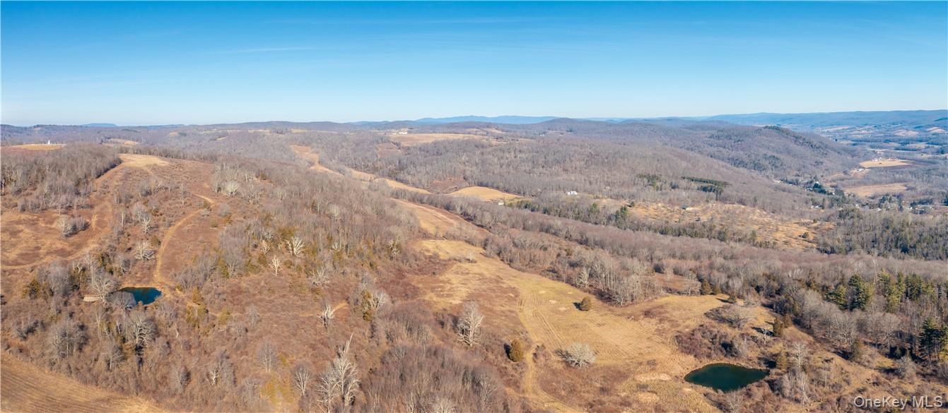 1297 Route 343 Property Photo 3