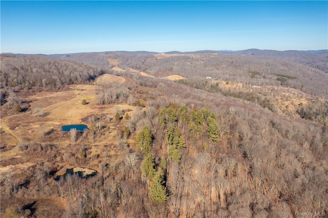 1297 Route 343 Property Photo 4