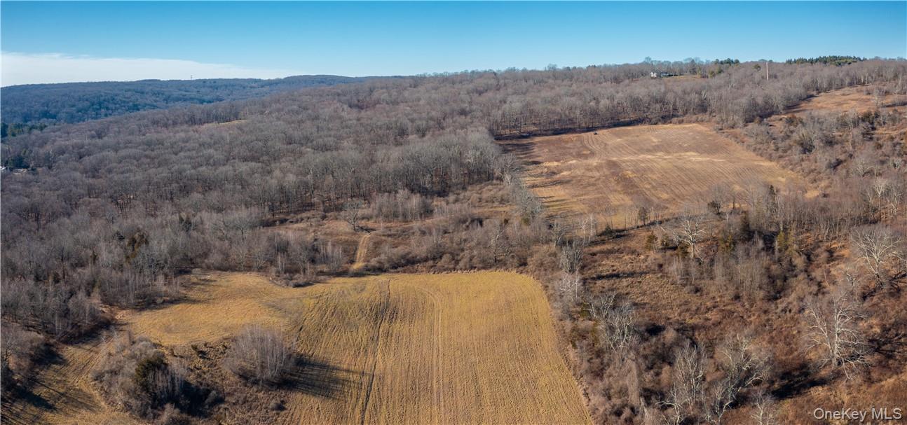 1297 Route 343 Property Photo 5