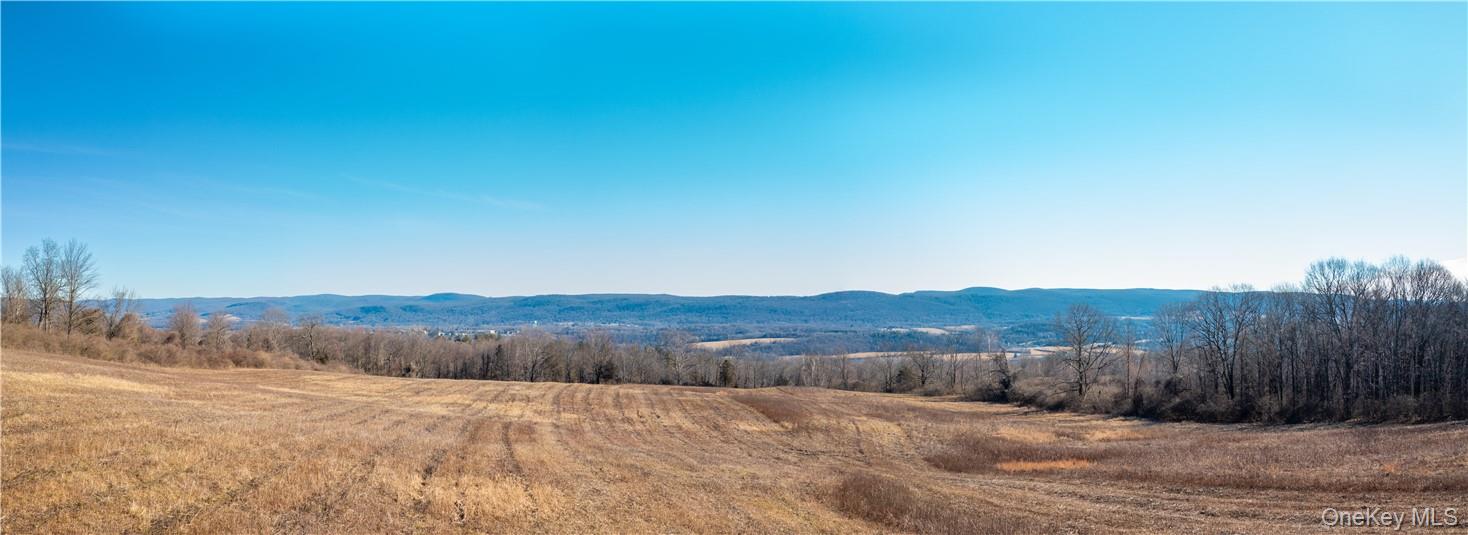 1297 Route 343 Property Photo 6