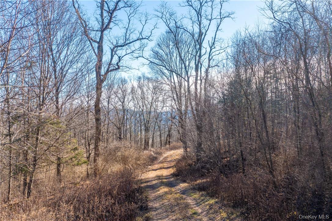 1297 Route 343 Property Photo 8