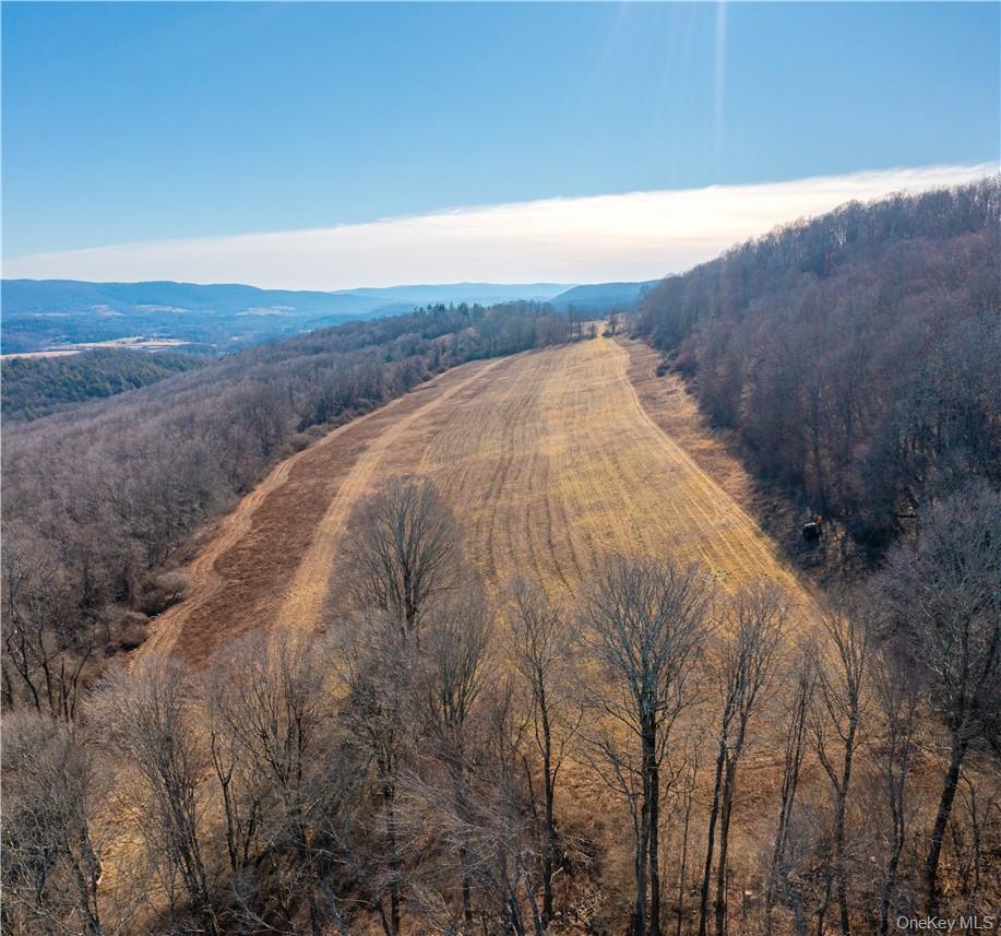 1297 Route 343 Property Photo 9