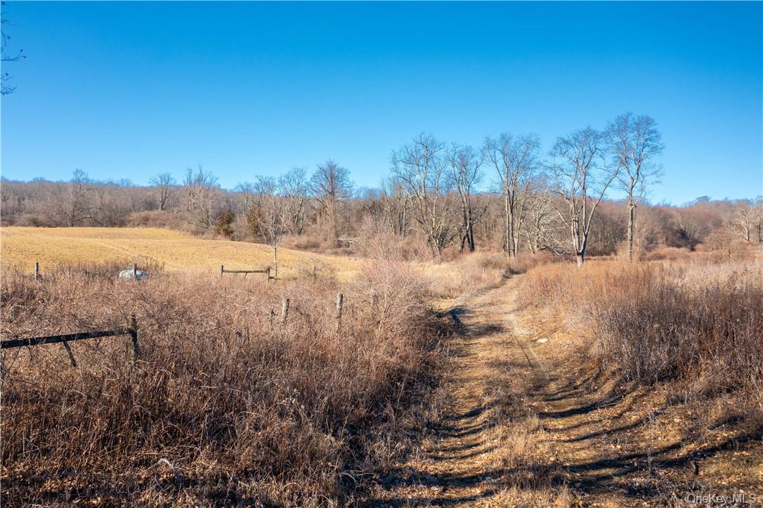 1297 Route 343 Property Photo 10