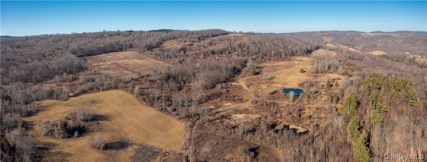 1297 Route 343 Property Photo 11