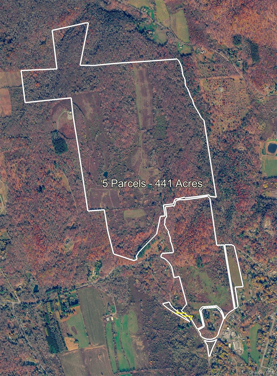 1297 Route 343 Property Photo 14