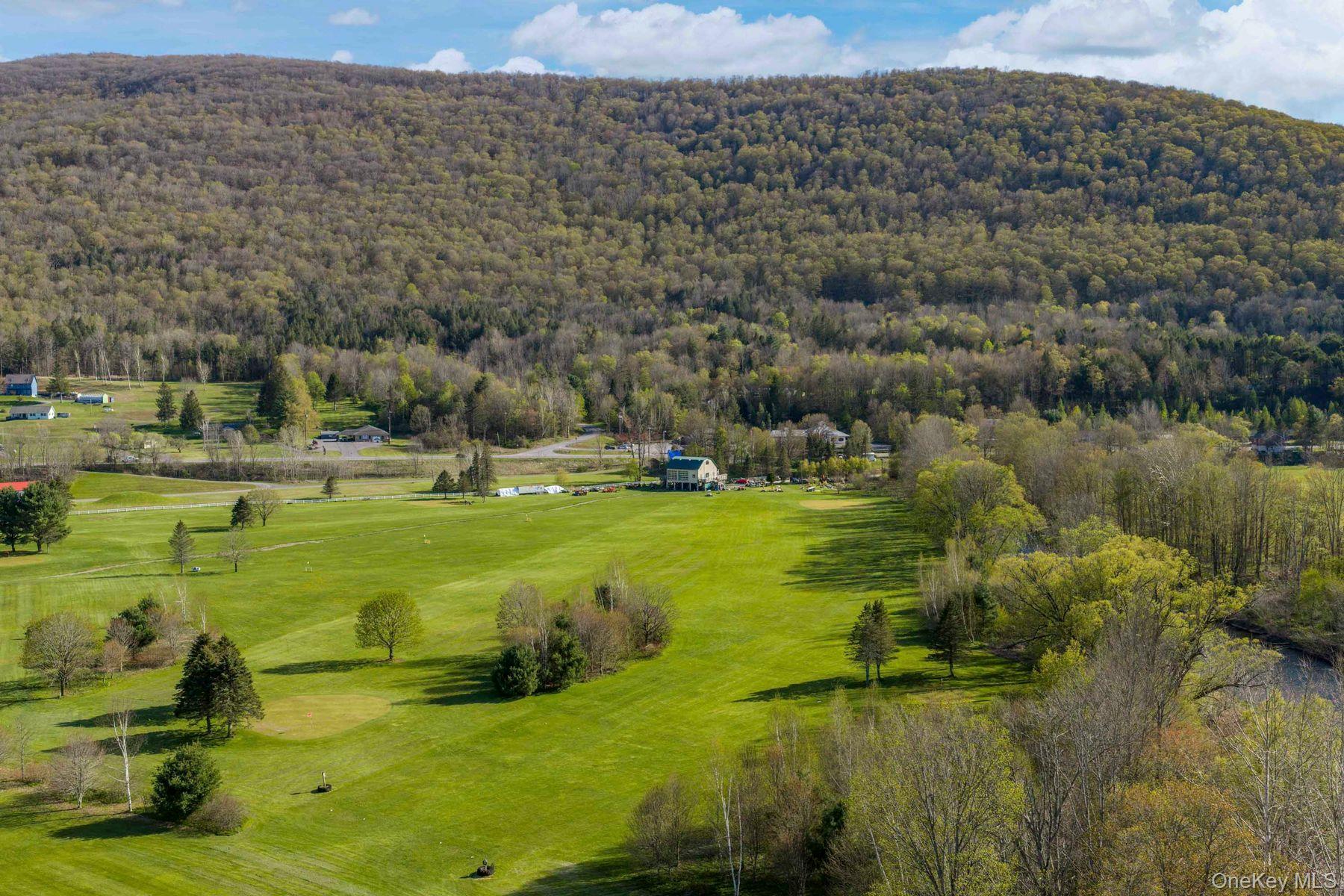 42565 Route 28 Property Photo 2