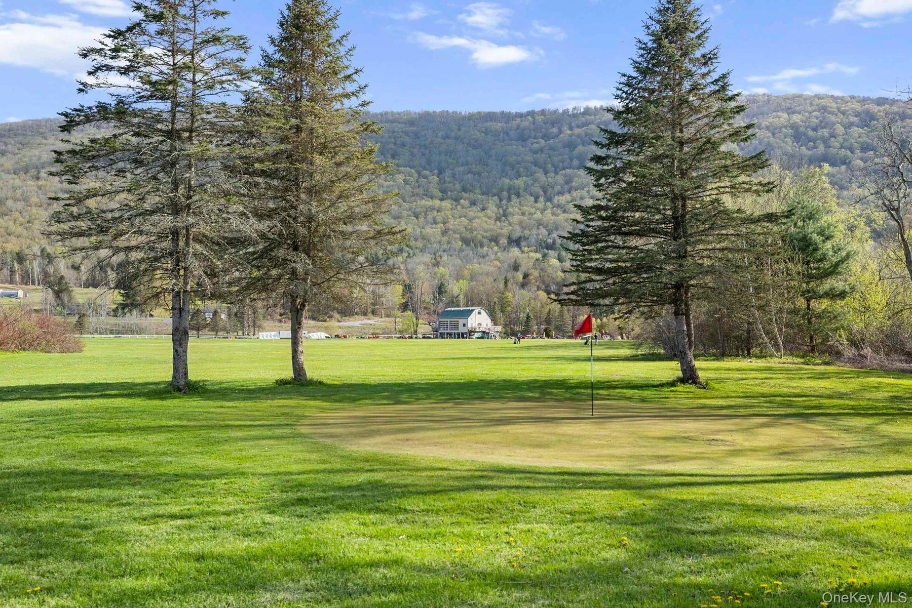 42565 Route 28 Property Photo 5
