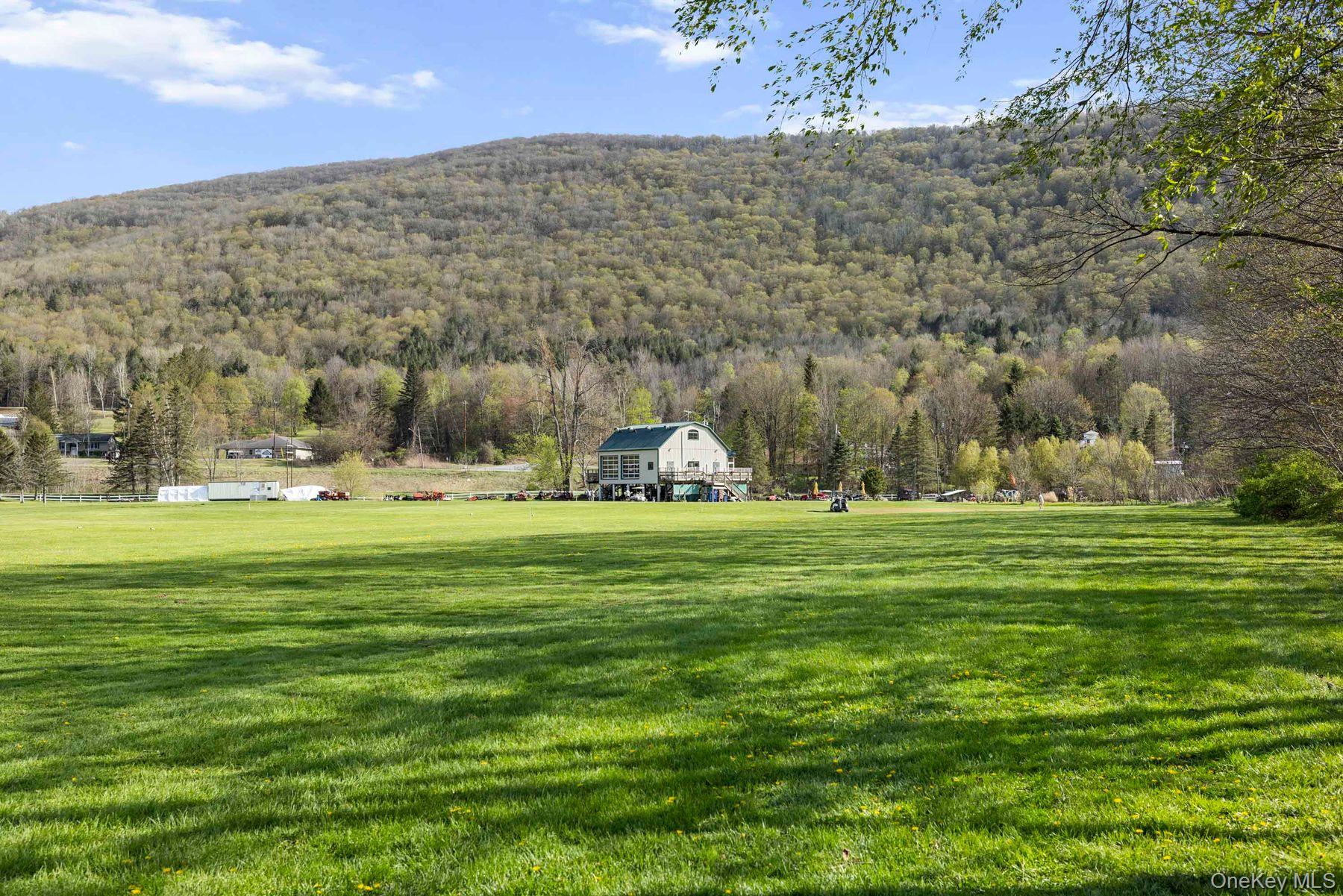42565 Route 28 Property Photo 6