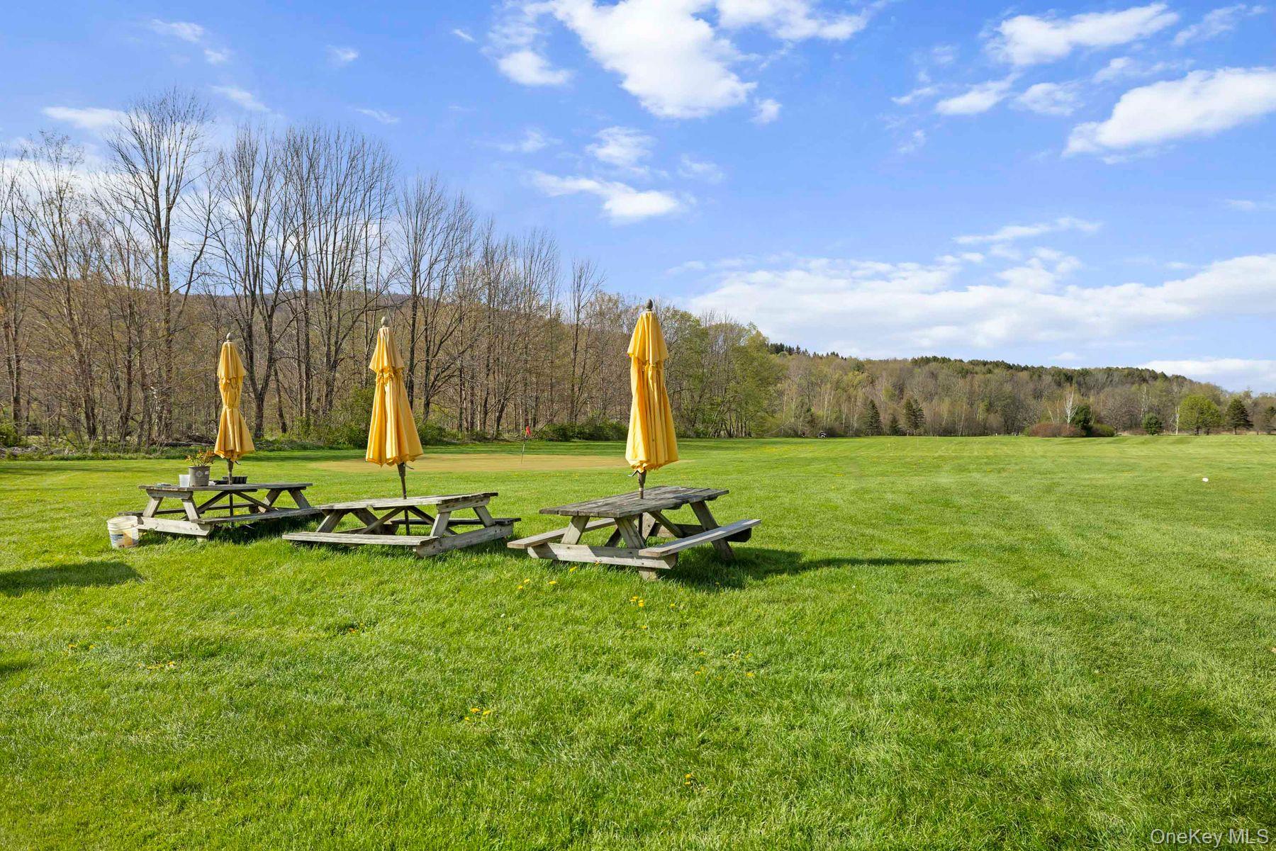 42565 Route 28 Property Photo 14