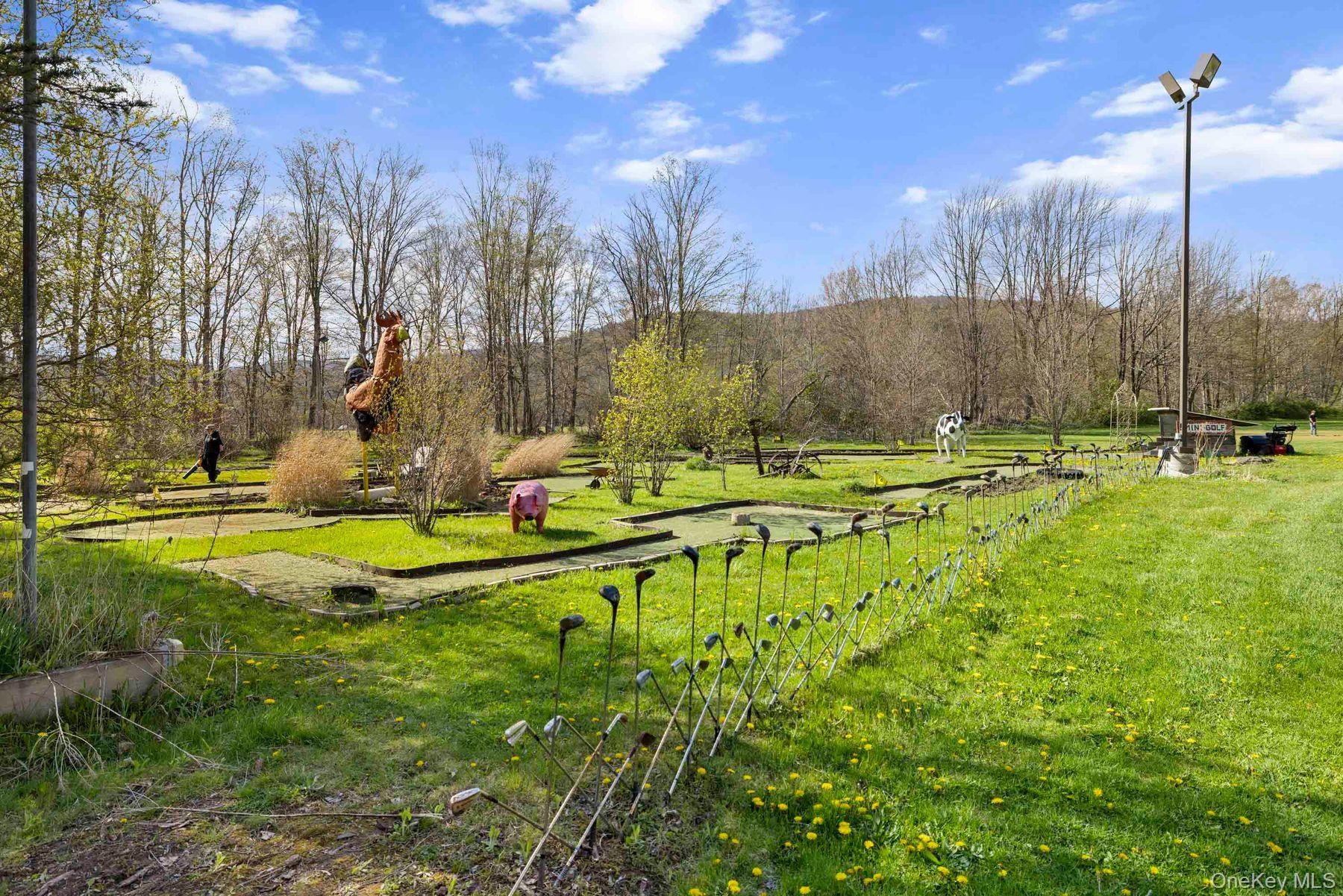 42565 Route 28 Property Photo 21