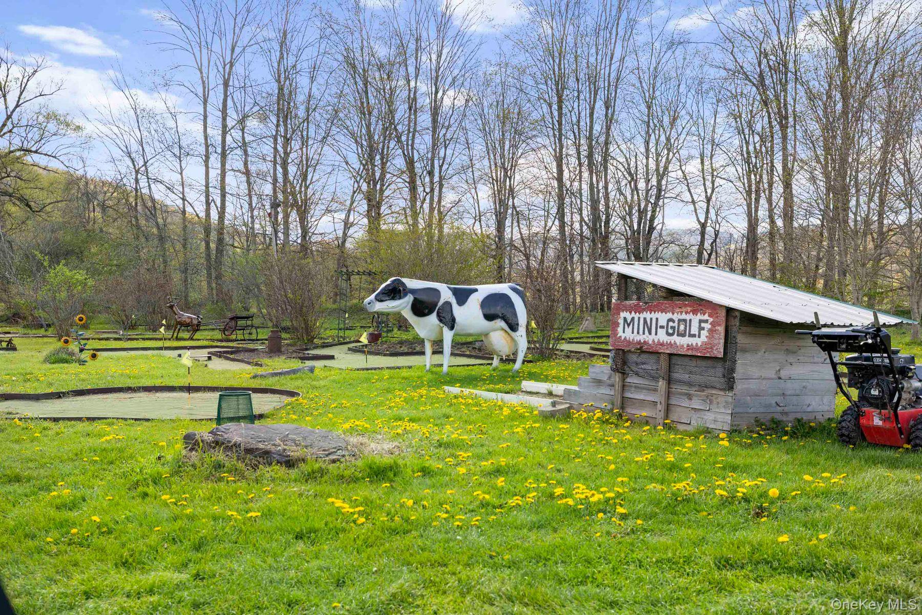 42565 Route 28 Property Photo 22
