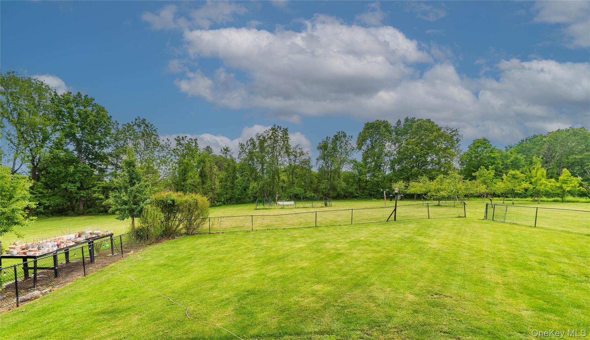 1 Starlight Path Property Photo 29