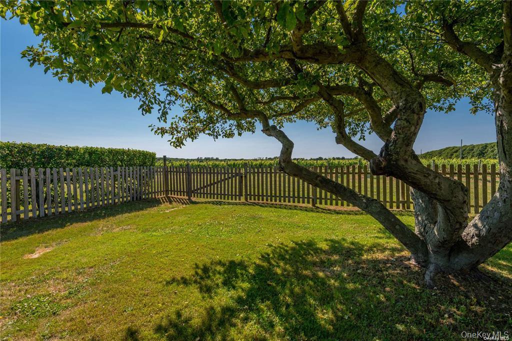 4782 Alvah's Lane Property Photo 32