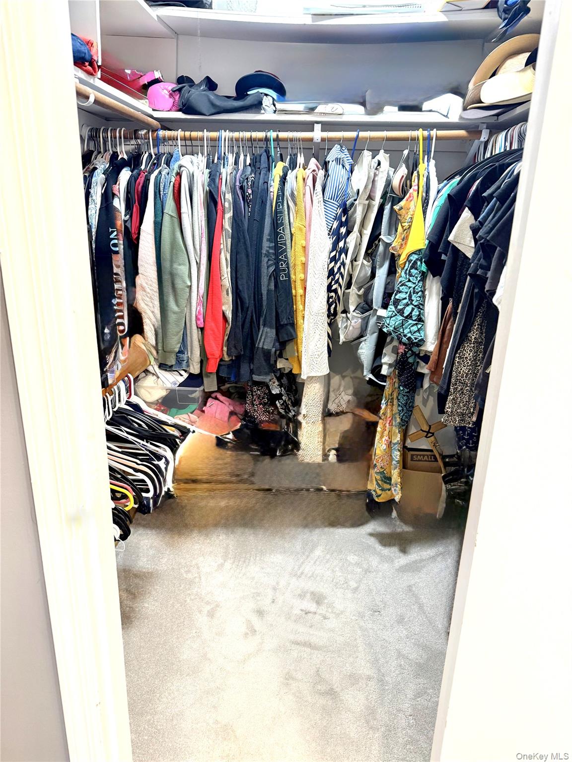 164 Somerset Drive Property Photo 19