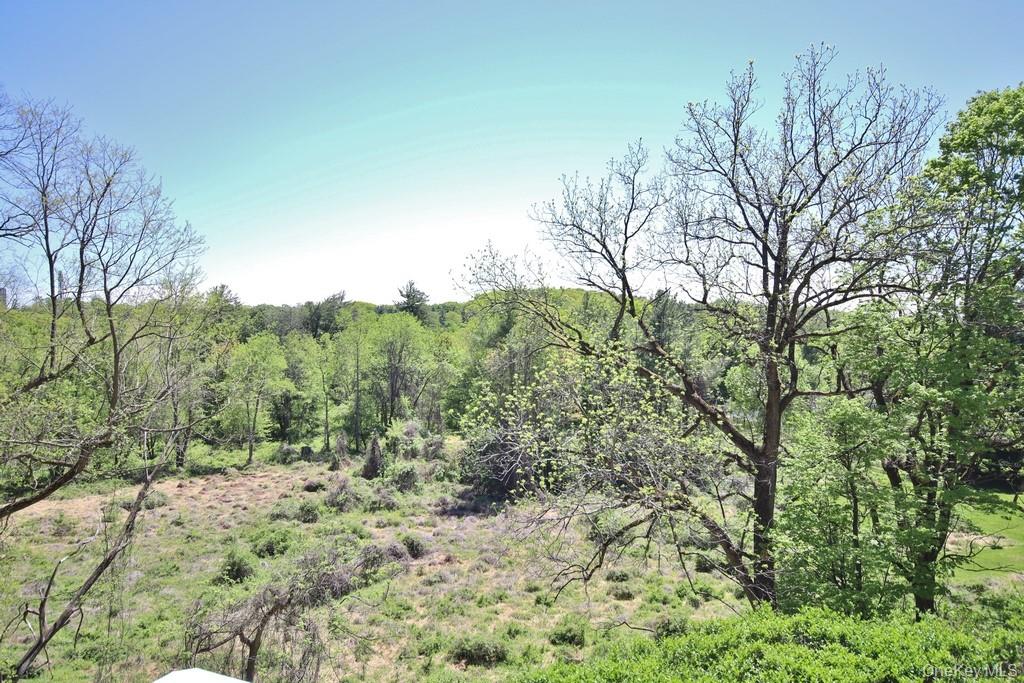 28 Argyle Place Property Photo 33