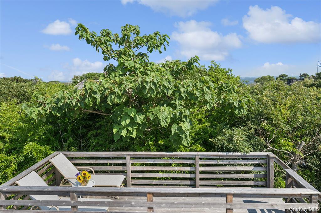 317 Sky Walk Property Photo 36