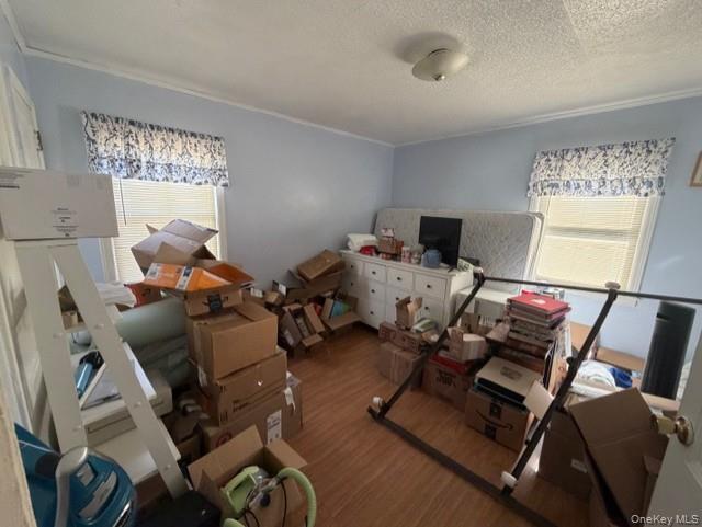 10 Ivy Place Property Photo 14