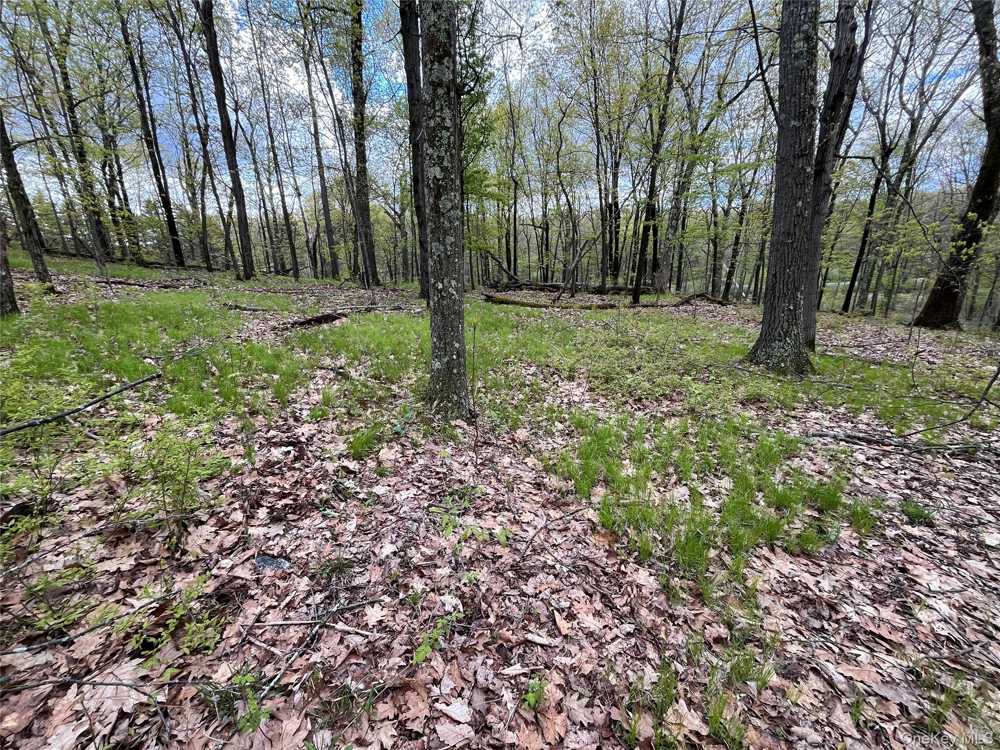 Cold Spring Rd Cold Spring Road Property Photo 1