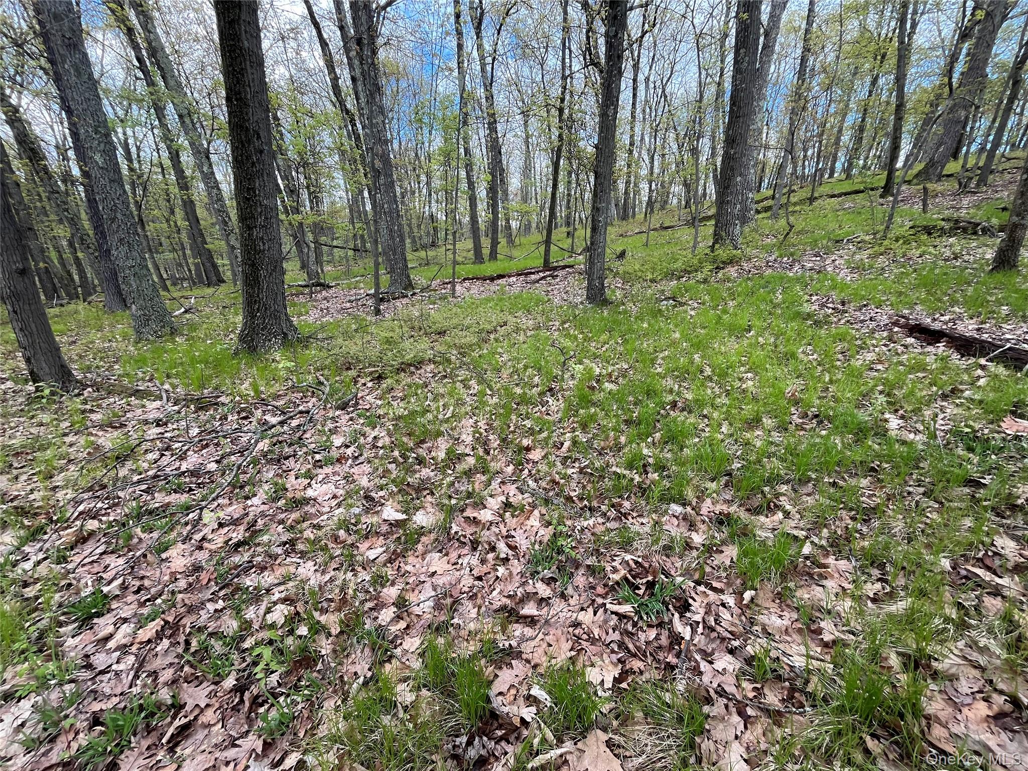 Cold Spring Rd Cold Spring Road Property Photo 3