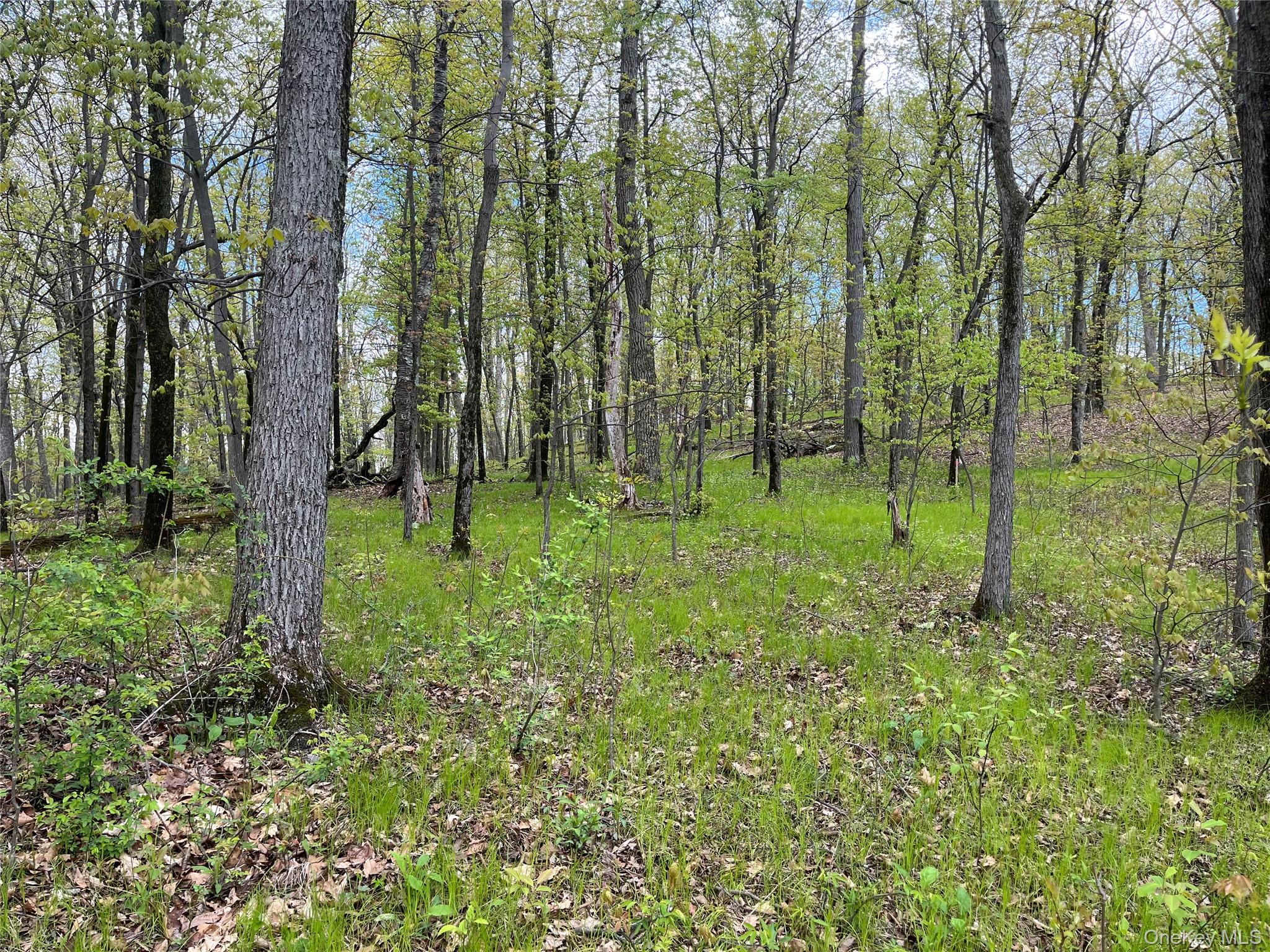 Cold Spring Rd Cold Spring Road Property Photo 4