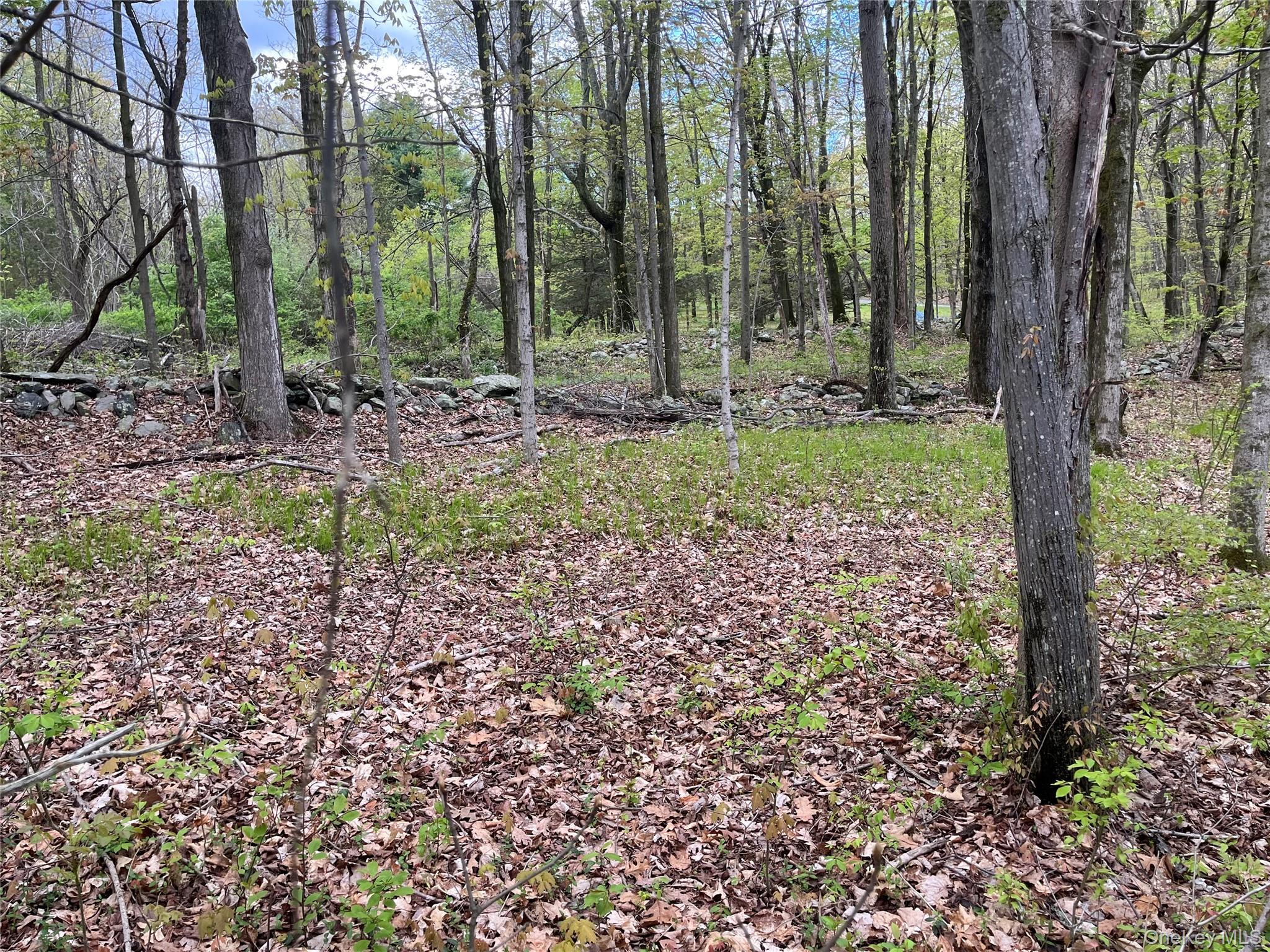 Cold Spring Rd Cold Spring Road Property Photo 5