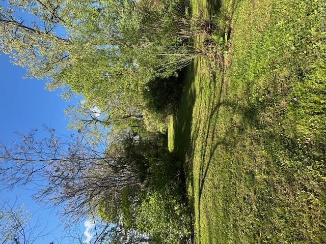 29 E Kerley Corners Property Photo 25